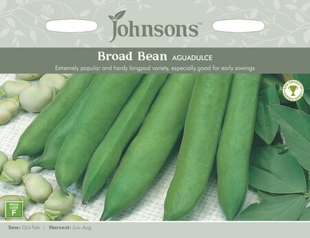 UK/JO-BROAD BEAN Aguadulce