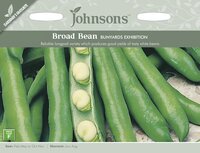 UK/JO-BROAD BEAN Bunyards Exhibition