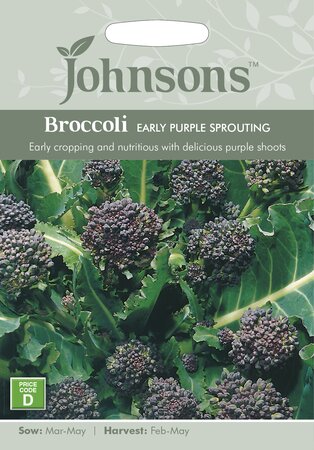 UK/JO-BROCCOLI Early Purple Sprouting - image 1