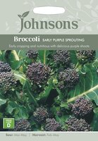 UK/JO-BROCCOLI Early Purple Sprouting - image 3