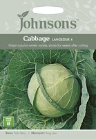 UK/JO-CABBAGE Langedijk 4 - image 1