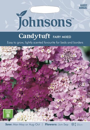 UK/JO-CANDYTUFT Fairy Mixed - image 1