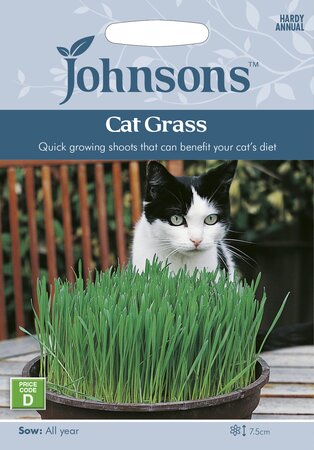 UK/JO-CAT GRASS - Avena sativa