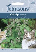 UK/JO-CATNIP - Catmint