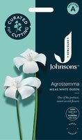 UK/JO-CF AGROSTEMMA Milas White Queen - image 1