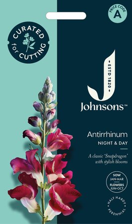 UK/JO-CF ANTIRRHINUM Night & Day - image 1