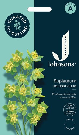 UK/JO-CF BUPLEURUM rotundifolium - image 1