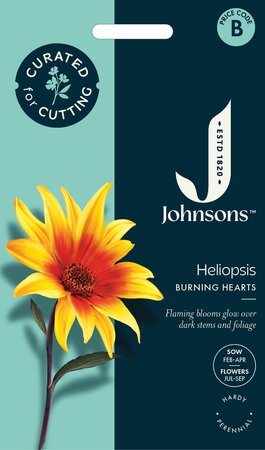 UK/JO-CF HELIOPSIS Burning Hearts - image 1