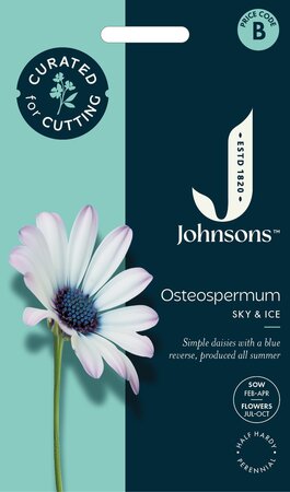 UK/JO-CF OSTEOSPERMUM Sky & Ice - image 1