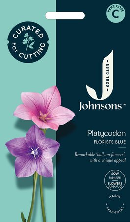 UK/JO-CF PLATYCODON Florists Blue - image 1