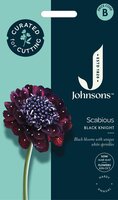 UK/JO-CF SCABIOUS Black Knight - image 1