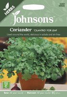 UK/JO-CORIANDER Cilantro for Leaf