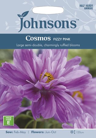 UK/JO-COSMOS Fizzy Pink