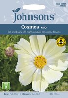 UK/JO-COSMOS Kiiro