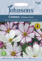 UK/JO-COSMOS Peppermint Rock