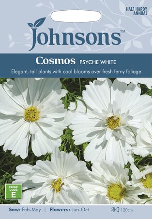 UK/JO-COSMOS Psyche White