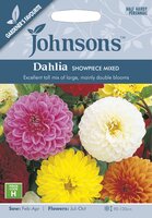 UK/JO-DAHLIA Showpiece Mixed