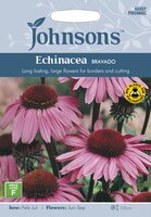 UK/JO-ECHINACEA Bravado