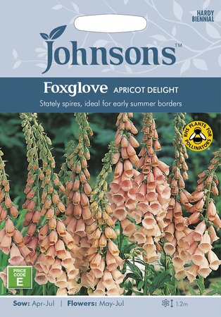 UK/JO-FOXGLOVE Apricot Delight