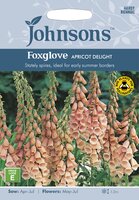 UK/JO-FOXGLOVE Apricot Delight