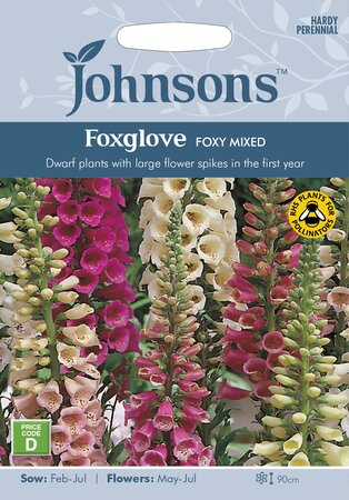 UK/JO-FOXGLOVE Foxy Mixed