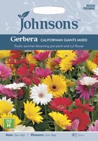 UK/JO-GERBERA Californian Giants Mixed