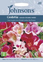 UK/JO-GODETIA Azalea Double Mixed