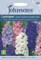 UK/JO-LARKSPUR Dwarf Hyacinth Flowered Mixed