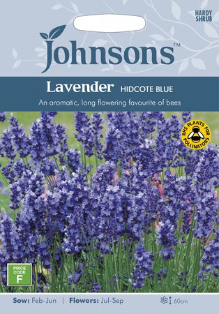 UK/JO-LAVENDER Hidcote Blue