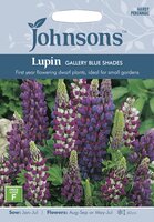 UK/JO-LUPIN Gallery Blue Shades