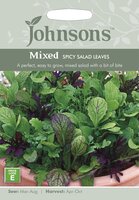 UK/JO-MIXED Spicy Salad Leaves