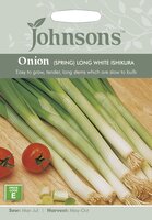 UK/JO-ONION (Spring) Long White Ishikura - image 1