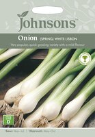 UK/JO-ONION (Spring) White Lisbon - image 3