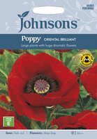 UK/JO-POPPY Oriental Brilliant