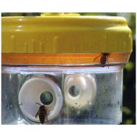 Wasp Trap Jasper Grasper - image 2