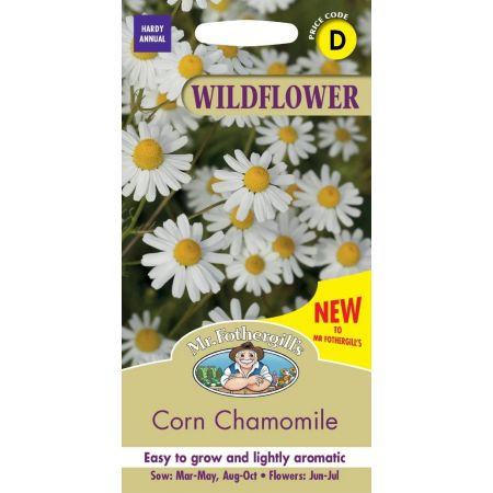 UK/FO-WF-Corn Chamomile - image 1