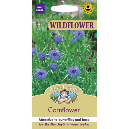 UK/FO-WF-Cornflower - image 1