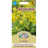 UK/FO-WF-Cowslip - image 1