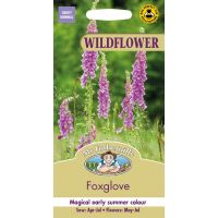 UK/FO-WF-Foxglove - image 1