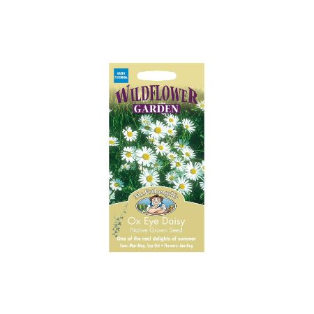 UK/FO-WF-Ox Eye Daisy