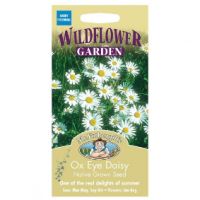 UK/FO-WF-Ox Eye Daisy