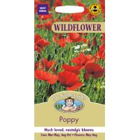 UK/FO-WF-Poppy - image 1