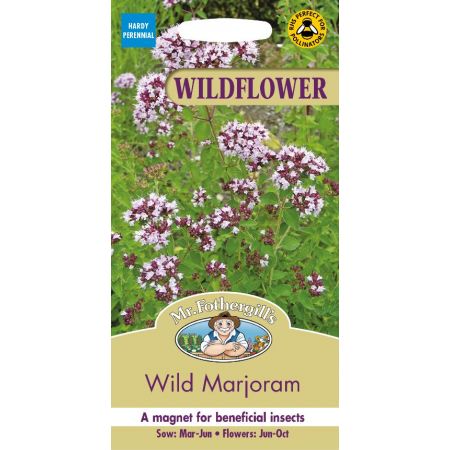 UK/FO-WF-Wild Marjoram - image 1