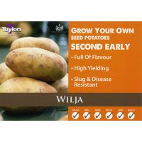 WILJA POTATOES LOOSE PER KG