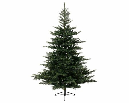 XMAS TREE 120 GRANDIS FIR