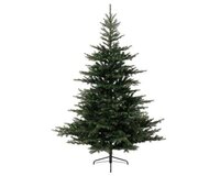 XMAS TREE 180 GRANDIS FIR