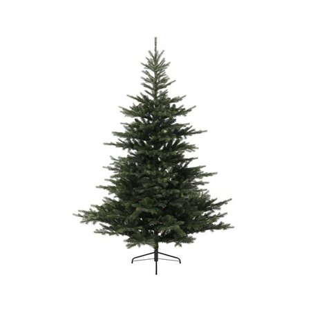 XMAS TREE 240 GRANDIS FIR