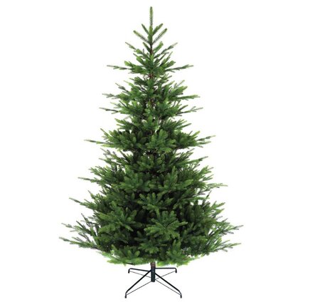 XMAS TREE 6ft NORDMAN