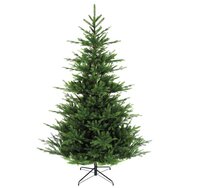 XMAS TREE 6ft NORDMAN